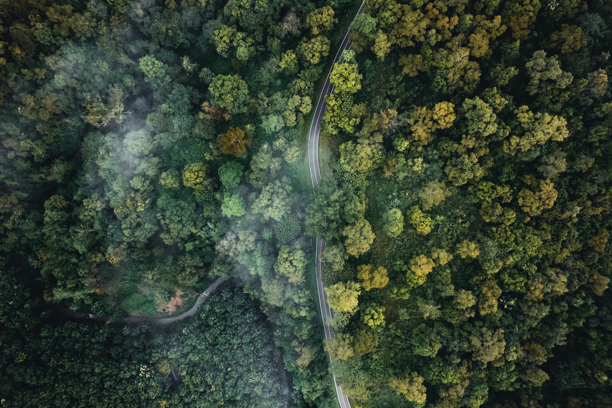 How Volvo makes the showroom a digital brand experience for customers.